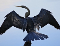 Keoladeo National Park