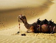 Sam-Sand-Dunes
