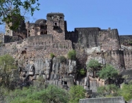 ranthambore