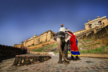 amber fort jaipur