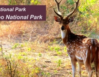 bharatpur National Park Keoladeo