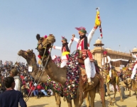 bikaner-camel-festival